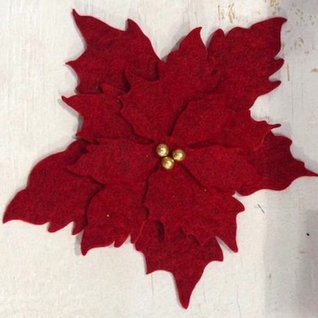 poinsettia1