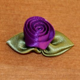Rosa viola